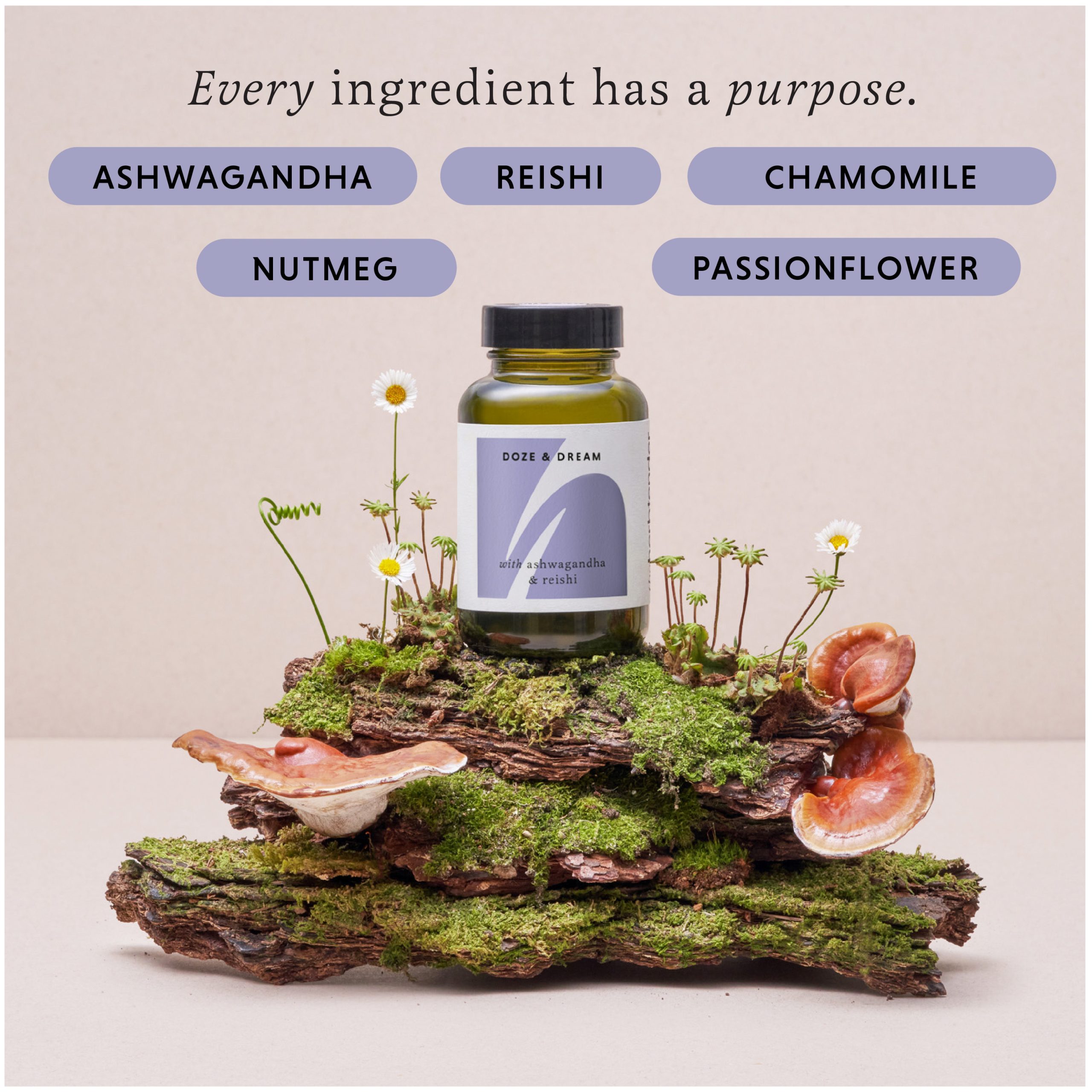 Herbtender - Doze & Dream - Image 4